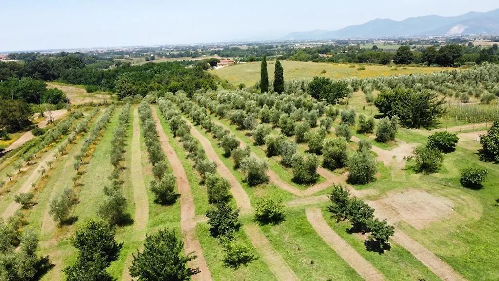 Antica Fattoria Borghesi Villa Fauglia Semesterbostad